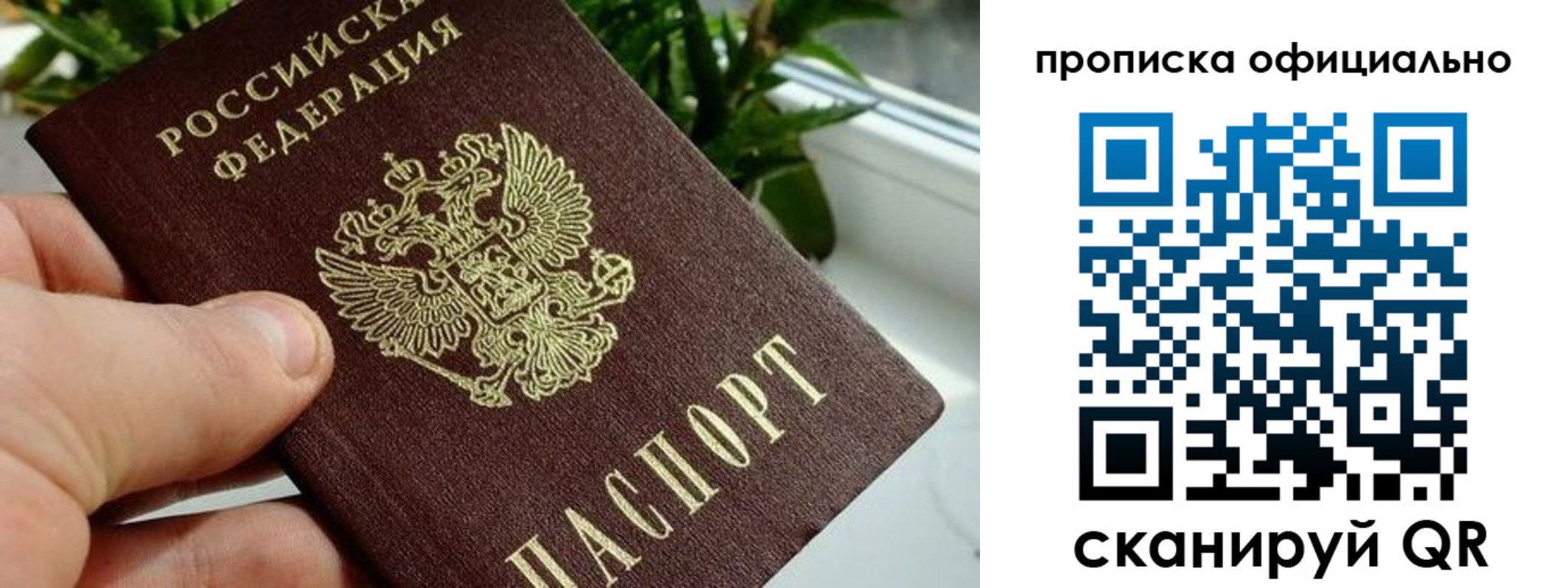 прописка поиск в Новопавловске
